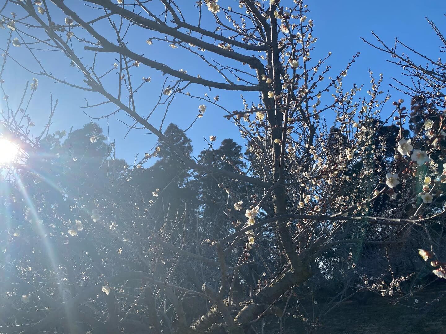 本日はご来場ありがとうございました😊
